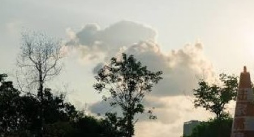 伙伴证言 - 蘑菇视频下载 - 客户眼里的我们是什么样子